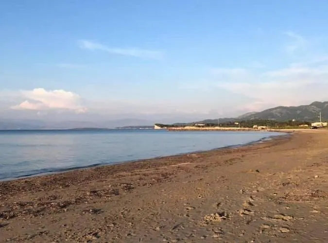 Panorama *